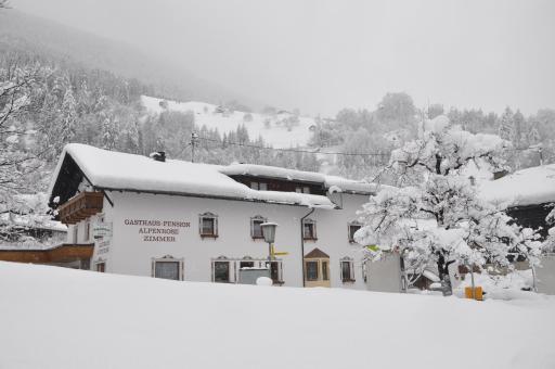 Gasthof Alpenrose - Housity