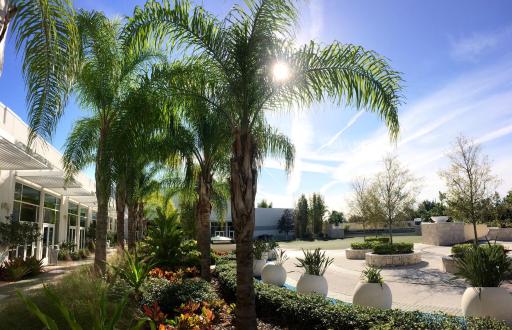 Hilton Orlando - Housity