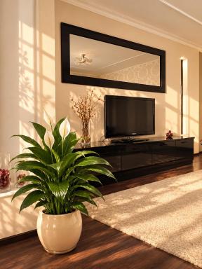 One-Bedroom Apartment in the center - Housity