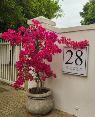 VIilla Vredenrust Guesthouse - Housity