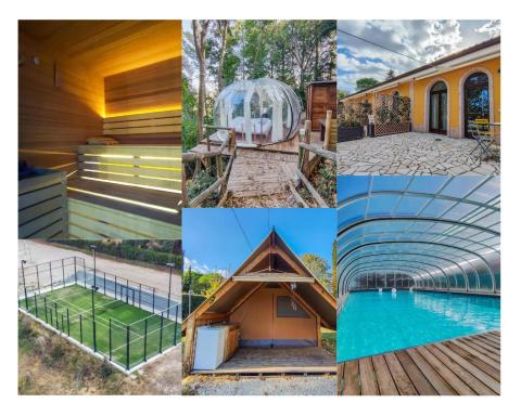 Poggio Imperiale Marche - Apartments & Glamping & Bubble Rooms - Housity
