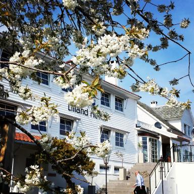 Lilland Brewery Hotel - Housity