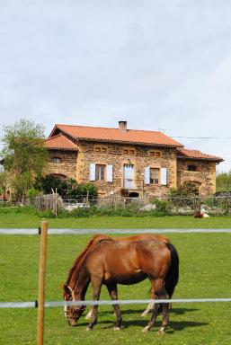 Domaine de la Poyat - Housity
