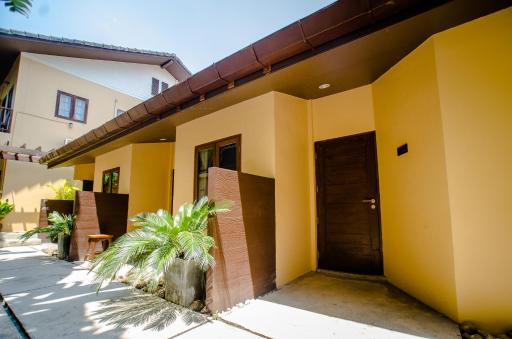 Lilu Pai - Housity