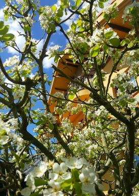 Posada Las Garzas - Housity