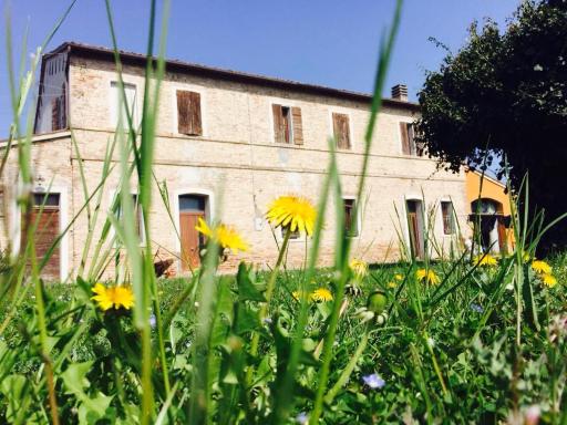 Il Rudere - Housity