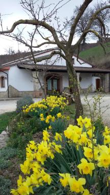 Agriturismo Il Regio Tratturo - Housity