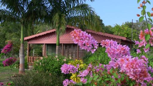Little Bay Beach House - Housity