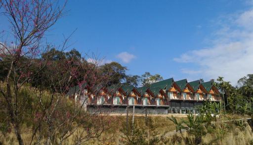 Yulan Green Roof - Housity