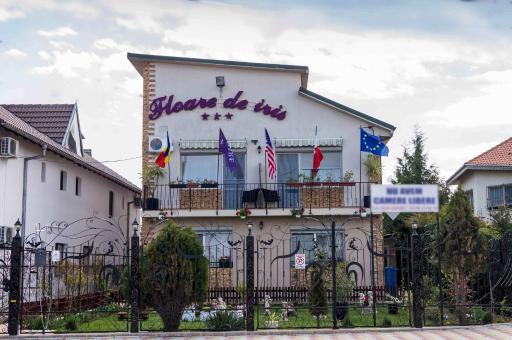 Floare de Iris - Housity