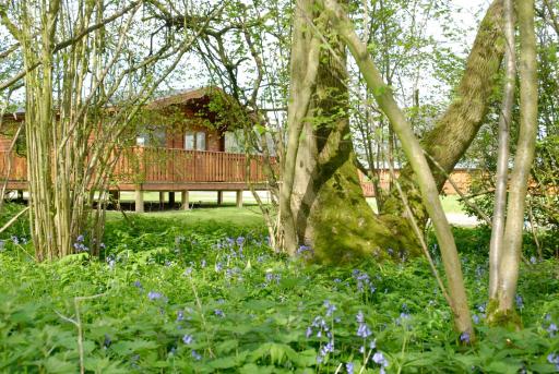 South Winchester Lodges - Housity