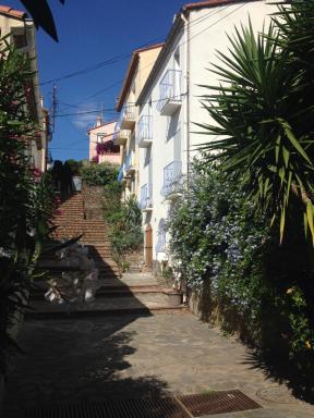 Maison Banyuls - Housity