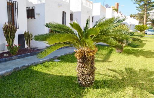 Dream Townhouse - Housity