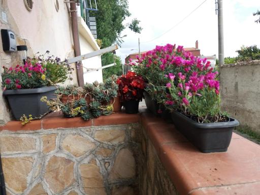 La Mia Casetta - Housity