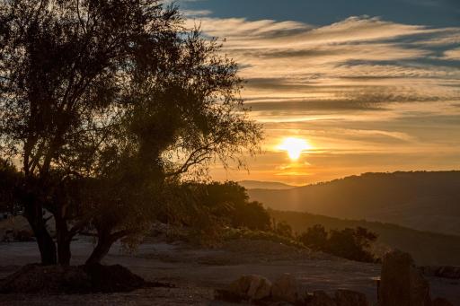 Masseria Straziuso - La Vaccariccia - Housity
