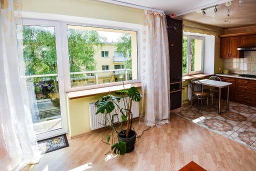 NeriesApartment No.1 Holidays By J. Basanaviciaus - Housity