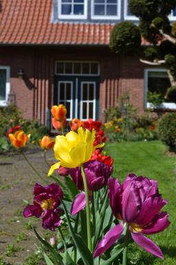 Ferienwohnung Zinne-Wigger - Housity