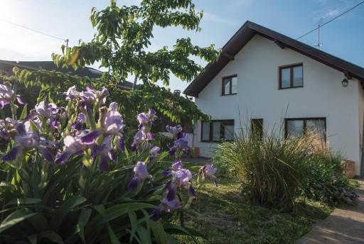 Apartments Osijek by the River - Housity
