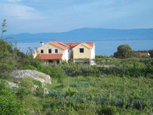 Jenny`s House - Housity