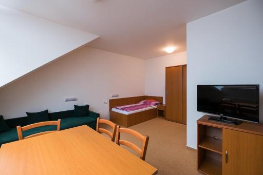 Apartmany ve Skiresortu Bukova hora - Housity