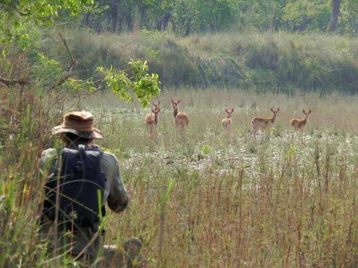 Racy Shade Resort Pvt.Ltd. - Housity