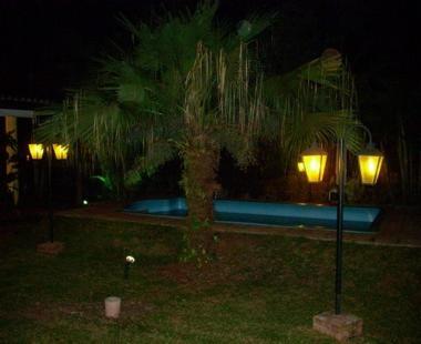 una palmera junto a una piscina por la noche en El Guembe Hostel House en Puerto Iguazú