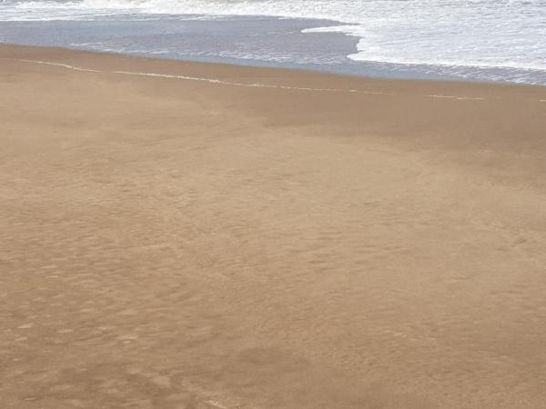 una playa de arena con el océano al fondo en Las Mutisias en Villa Gesell
