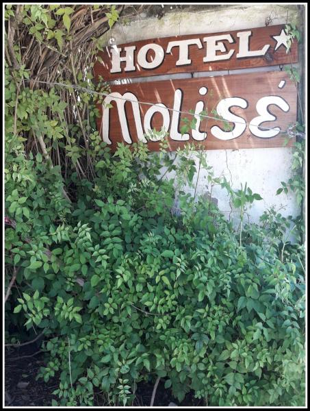 un cartel que dice hotel malisse en un arbusto en el Hotel Molise de Villa Gesell