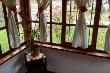 un grupo de ventanas con cortinas blancas y una maceta en Tu Cabaña en San Martín de los Andes