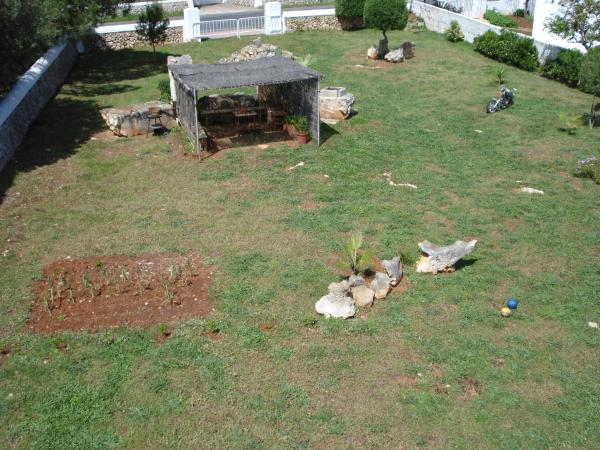 Animales en el apartamento o cercanías