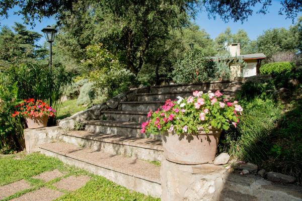 un conjunto de pasos de hormigón con flores en ellos en Del Arroyo Cabañas en Villa General Belgrano