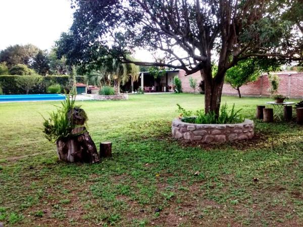 un árbol en medio de un campo de hierba en ALOJAMIENTO VALLE DE SALTA en Salta