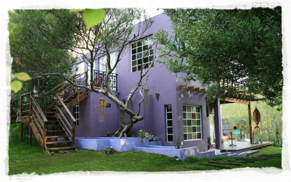 una casa púrpura con un árbol en el patio en La Mamunia en Las Gaviotas