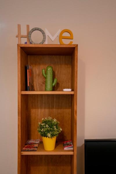 un estante de libros con una planta y un cactus en For You Rentals Chueca Apartment BRC42, en Madrid