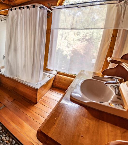 baño con lavabo, ducha y ventana en Rotui Cabaña Exclusiva La Juanita en San Martín de los Andes