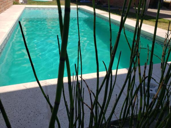 cerca de una piscina de agua verde en Comoda casa en el centro de Villa Carlos Paz, pileta privada, cinco minutos a pie de la peatonal, aire, porton electrico, en Villa Carlos Paz