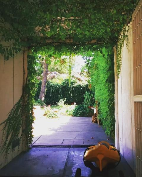 una entrada a un jardín con una puerta cubierta de hiedra en la Hostería del Sur en Villa Gesell