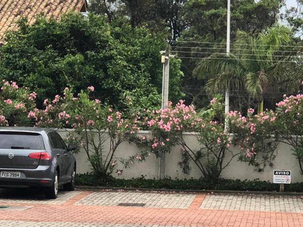 a car parked in a parking lot with pink flowers at Condominio Villas do Campeche in Florianópolis