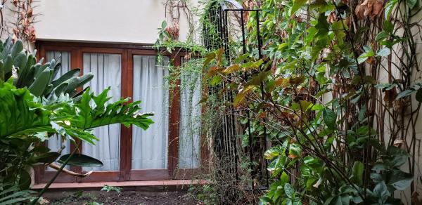 una ventana de un edificio con plantas a su alrededor en La casa del Paseo en Salta