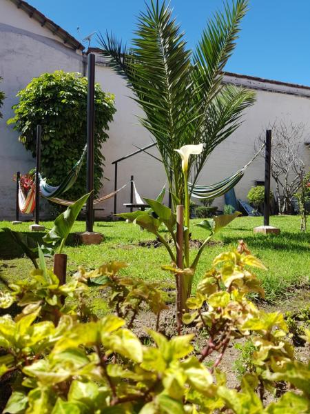 Jardín al aire libre en Hostal Juana de Arco