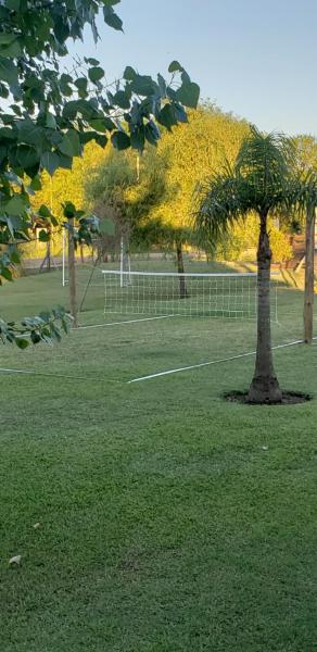 una palmera en un campo con una pista de tenis en Terra y Rio en Gualeguaychú