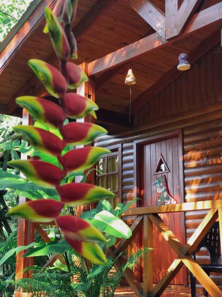 un árbol frente a una cabaña de madera en Terra Lodge en Puerto Iguazú