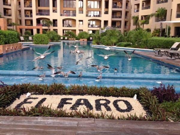 una bandada de aves volando sobre una piscina en El Faro 206 Reef, en Playa del Carmen