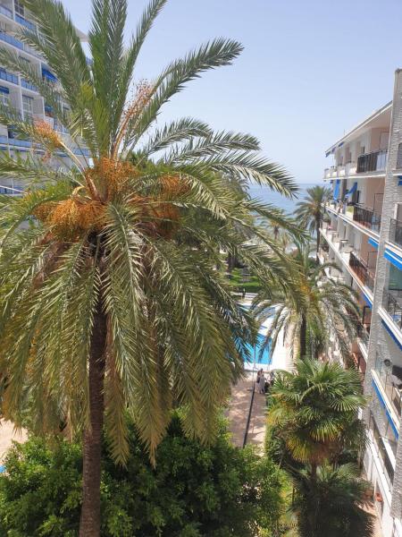 un grupo de palmeras en una playa junto a un edificio en Skol 837B by Completely Marbella, en Marbella