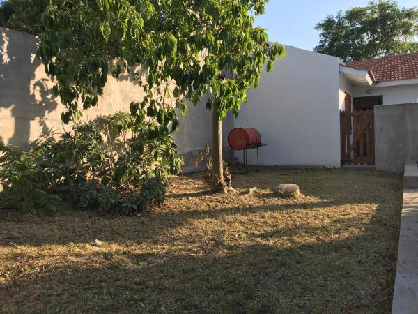 un patio con un árbol y una valla en el Departamento Jardín - 3 en Villa Gesell