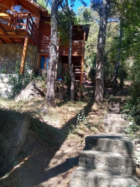 un camino delante de una cabaña de madera en Tu Casa en San Martín de los Andes en San Martín de los Andes