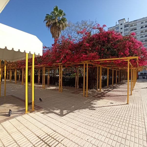 un pabellón con postes amarillos y flores y árboles rosas en LOFT MEDITERRÁNEO, en Málaga