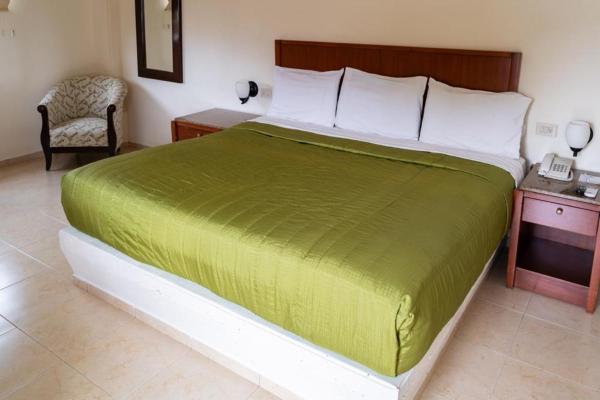 Cama o camas de una habitación en Hotel Plaza del Sol