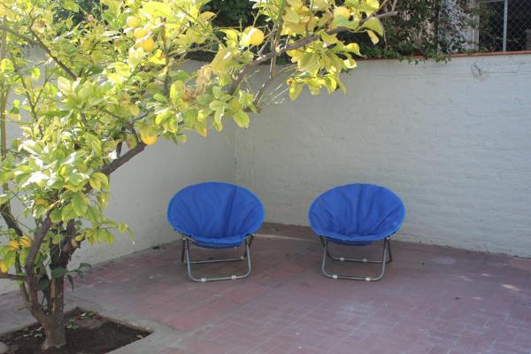 dos sillas azules sentadas junto a un árbol en La Quinta Mendoza en Mendoza