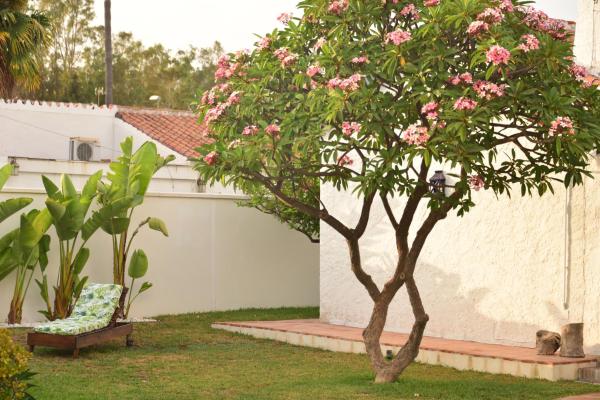 Un árbol con flores rosas en un patio en Villa Isabelita, en Torremolinos
